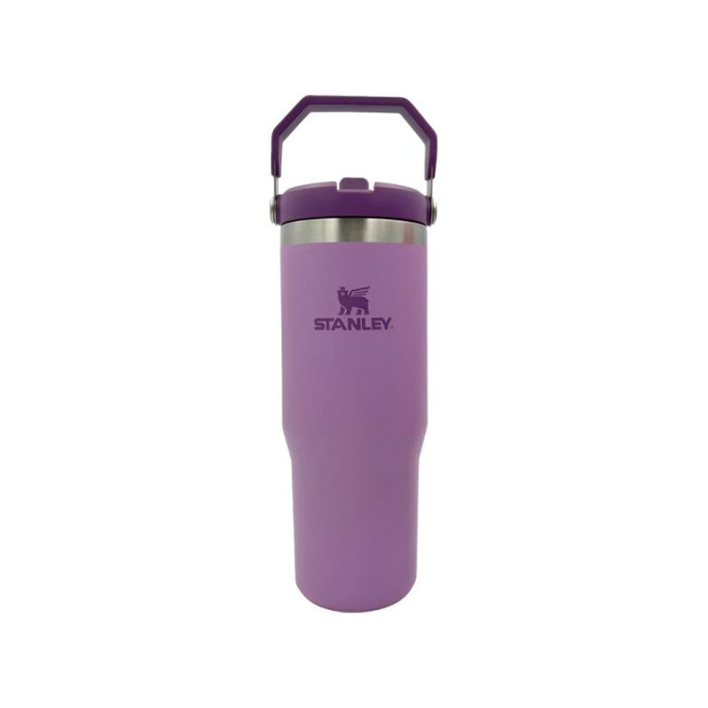 Stanley Termica Classic Flip Straw Tumbler Plum Al 887ML