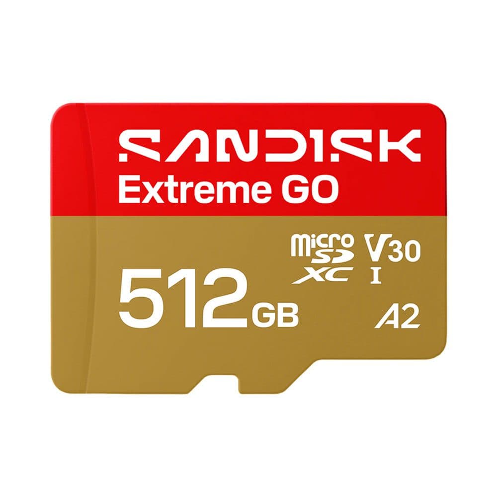 SanDisk Cartao De Memoria Microsd Extreme Go 160 512GB