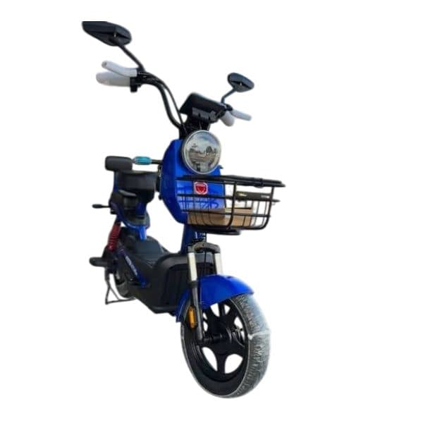 Foston Bicicleta Eletrica X13 Max