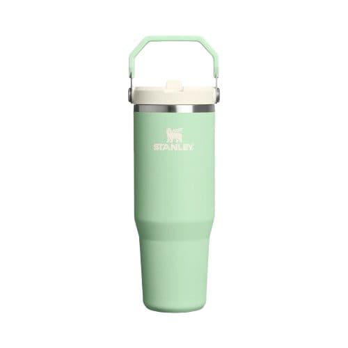 Stanley Termica Classic Flip Straw Tumblr Pistachio 887ML