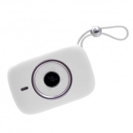 Carreg Ecopower Port