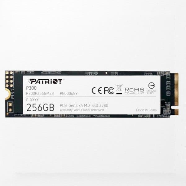 Patriot 1700 256GB