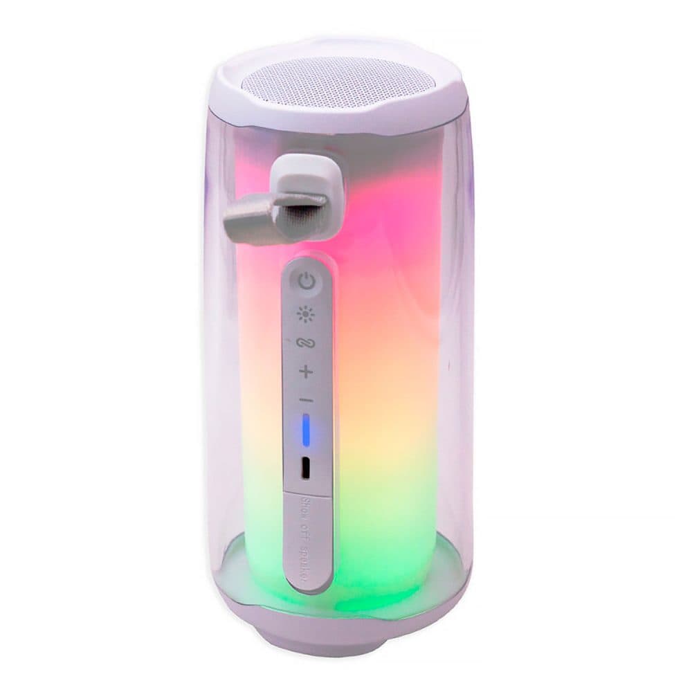 Speaker Blulory