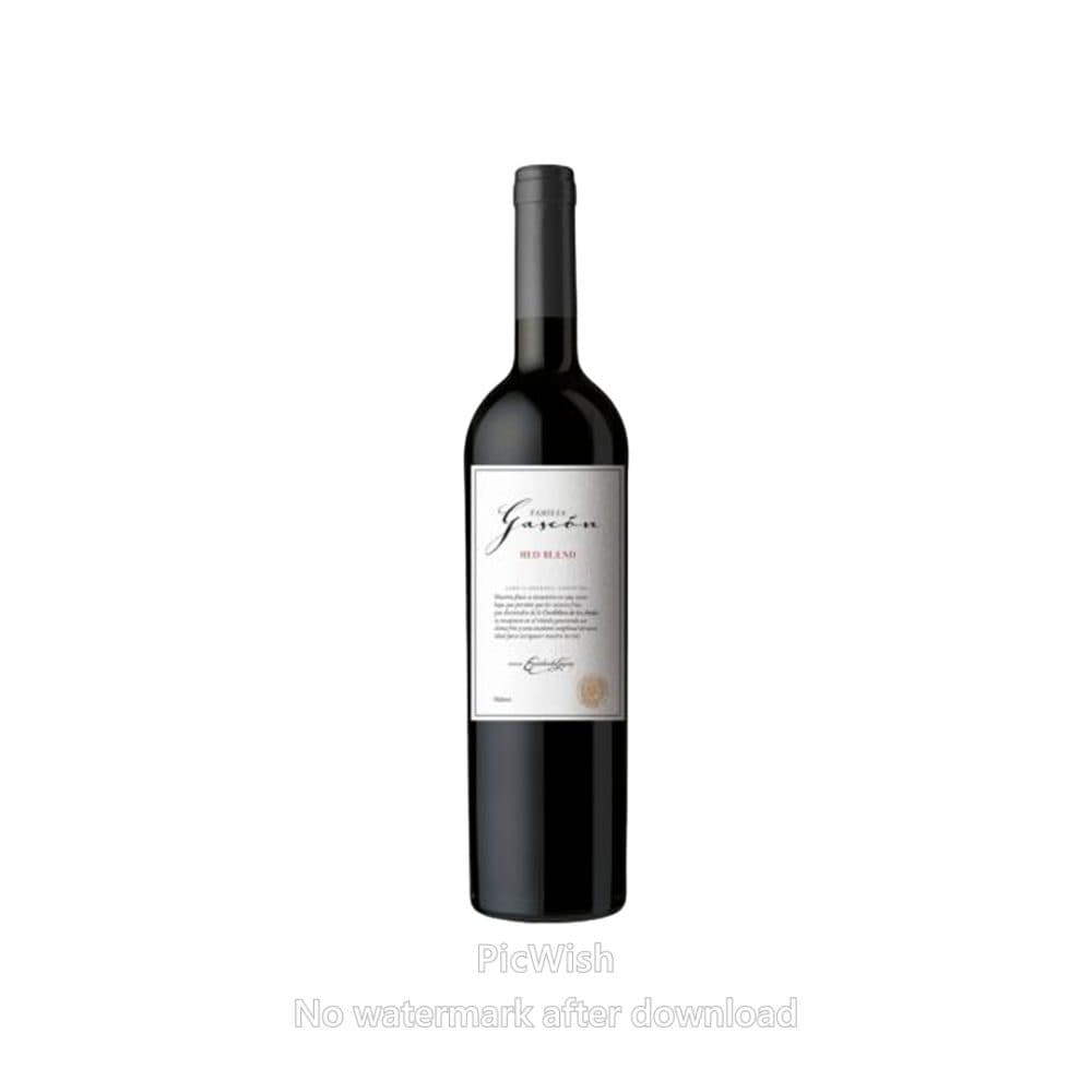 Beb Vinho Arg Gascon Syrah Tinto 750ML