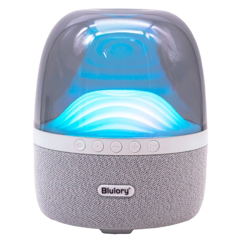 Speaker Blulory