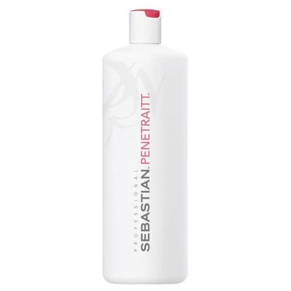 Cosm Sebastian Cond Penetraitt 1L