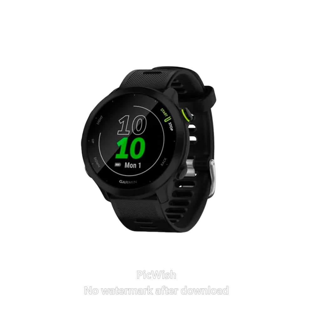 Garmin Forerunner 55 010 10