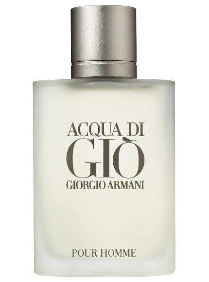 Armani Giorgio Acqua Di Gio 100ML EDP